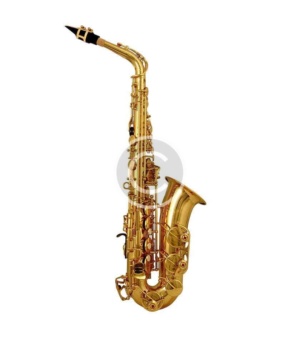 Alto Saxophone